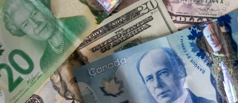 assorted-denomination banknote collection